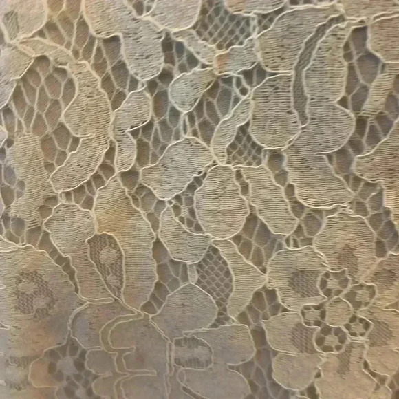 NWT Rose & Olive Lace Cami-Sz S - Picture 3 of 7